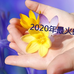 2020年最火的泡妞软件 （生气勃勃）