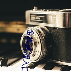 金蝶直播入口