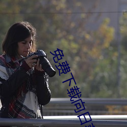 免(miǎn)费下(xià)载向日葵