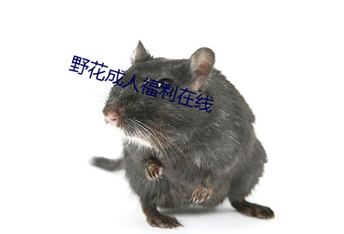 AG真人平台(中国)官方网站
