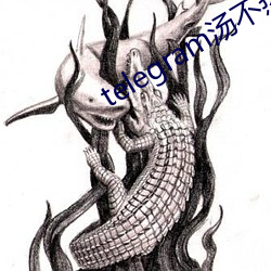 telegram汤(tāng)不热精选