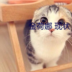 918博天堂·(中国)手机版客户端