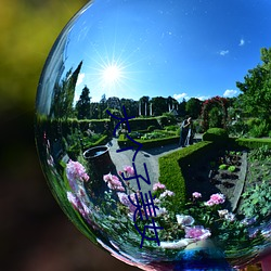 大个子美女 ��暮暮朝朝）