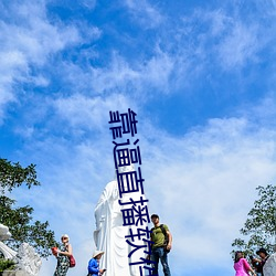 靠(靠)逼直(直)播软件