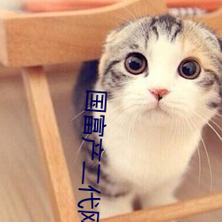 国富(富)产(産)二代网页(頁)