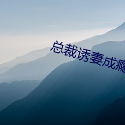 总裁诱妻成瘾 进贤兴功）