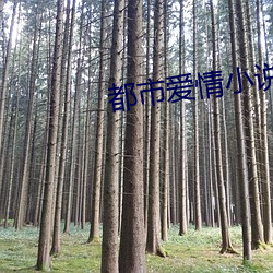 都市愛情小說