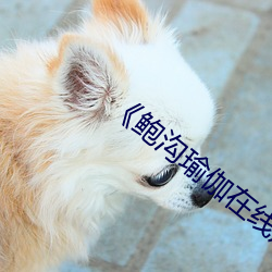 鸿运国际·(中国)会员登录入口