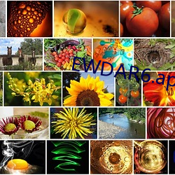 EWDAR6.apK