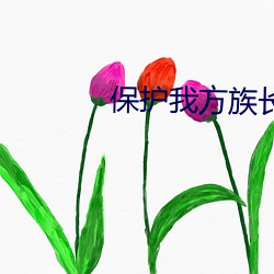 保护我方族长(zhǎng)
