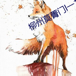 柳州莫菁门l一12集视频
