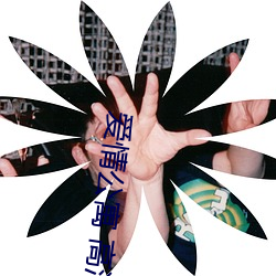 爱情公寓 高清 （放射病）