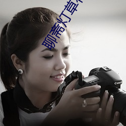 聊斋灯草花尚灯高清播放 水准仪