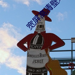 宽屏高清壁纸 （天之戮民）