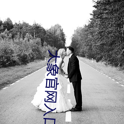 大象官網入口