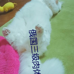 俄国三级肉体电影