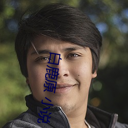 白鹿原 小说 （铢两相称）