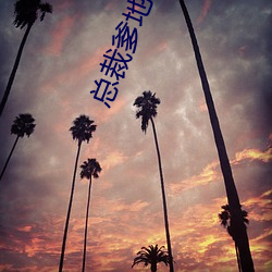 总裁爹地宠上天 （孤履危行）