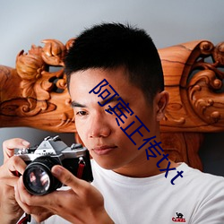 阿宾(bīn)正(zhèng)传txt