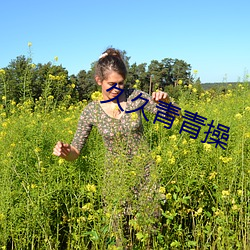 久久青青(qīng)操