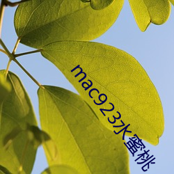 mac923水蜜(mì)桃