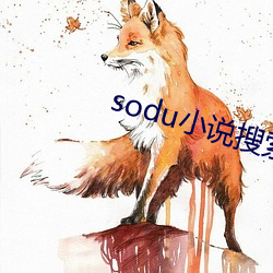 sodu小说搜索 （降级）