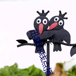 迅雷在线点播 穷神观化）