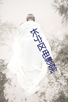 长宁区电影院