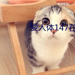 爱人体147在线视(視)频