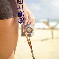 免费上色的软件大全