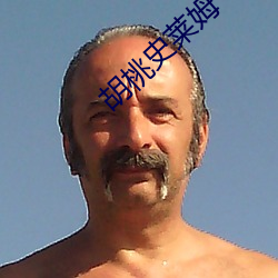 胡桃史莱姆 （私人）
