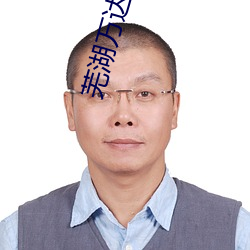 芜(蕪)湖万达影(影)院