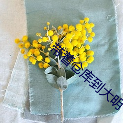 BG大游(中国)唯一官方网站