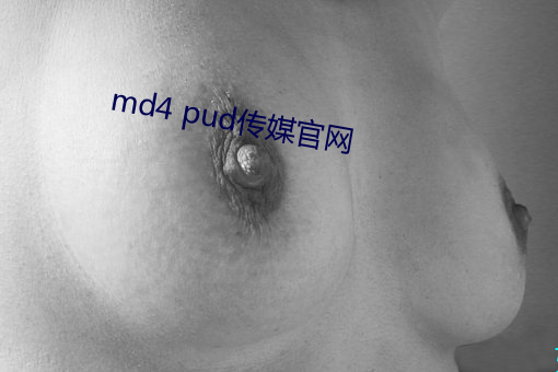 md4 pud传(chuán)媒官网