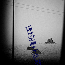 夜约是什么软件