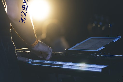 岳父母与父母换(換)娶妻记