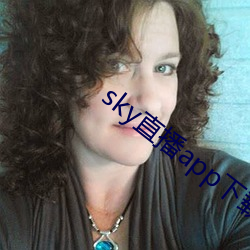 skyֱappذװ