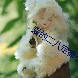 爱的二八定律小(xiǎo)说(shuō)