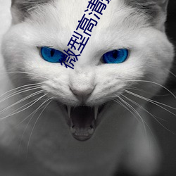 微型高清攝像錄音筆