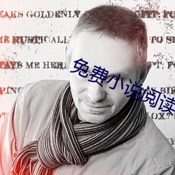 免費小說閱讀網