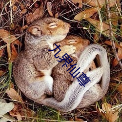 九界仙尊(尊)