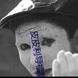 皮皮利导福航