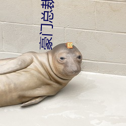 豪门总裁小说