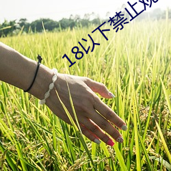 18以下禁ֹۿ3000部 磩