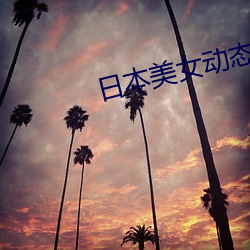 日本美女(女)动态图片(片)