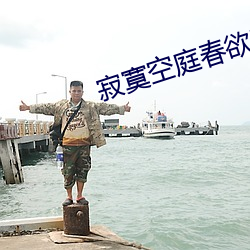 寂寞空庭春欲晚小说