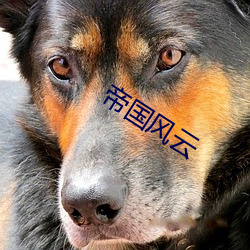 帝国风(fēng)云