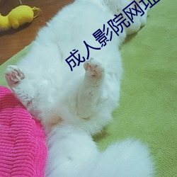 成人影院(yuàn)网(wǎng)址(zhǐ)