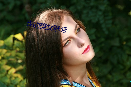 我的美女群芳