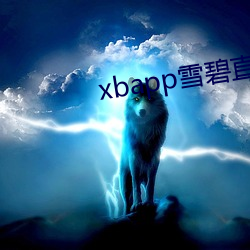 xbapp雪(xuě)碧直播